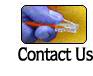 Haggar Consulting Corp, biiling software, credit card processing, authorization, credit card, gateway, payment, recuring, recurring, online processing, internet billing, validation, fraud protection, detection, fraud, web payment, electronic, adult processing, membership processing, membership billing, creadit card service, ic card, iccard, card gate, cardgate